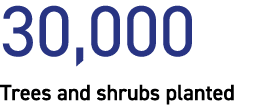 30,000 Trees and shrubs planted